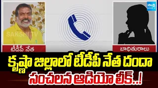 కృష్ణా జిల్లాలో టీడీపీ నేత దందా | Land Kabza By TDP Leader | Krishna District | Sakshi TV