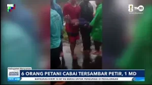 4 Orang Petani Cabai Tersambar Petir, 1 MD