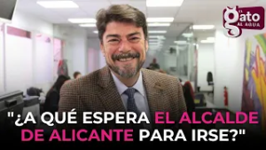 Julio Ariza explota "¿A qué espera el alcalde de Alicante para irse?"
