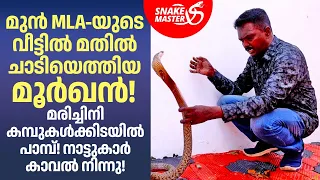 മൂർഖൻ ഒരു തവണ വീട്ടിൽ വന്നാൽ  വീണ്ടും വരുമോ? | Cobra Snake Rescue By Vava | Snakemaster EP 1223