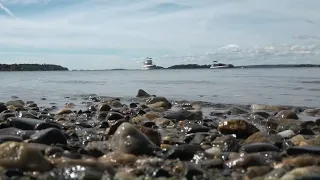Mudflats closed in Brunswick, Harpswell amid algae bloom investigation