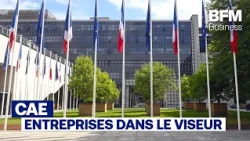 Businesses in the Crosshairs of the French Council of Economic Analysis
