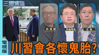 Did Xi and Trump have ulterior motives at the meeting? | #XuChenggang #YaitaAkio #WangHao | @CTST...