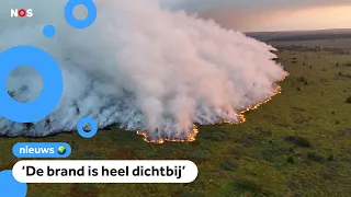 Wildfire in Belgium, largest in the country's history