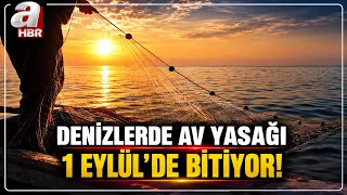 Fishermen will say "Vira Bismillah" (a traditional Turkish phrase used before starting a journey ...