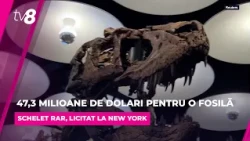 Fosilă vândută cu 47,3 milioane de dolari: Scheletul unui Nanotyrannus, licitat la New York