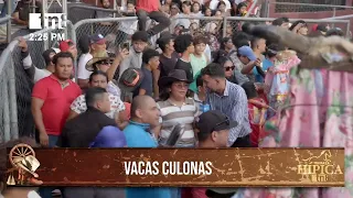 Julio Payán Returns from China and Is Welcomed by Las Vacas Culonas in a Festive Atmosphere