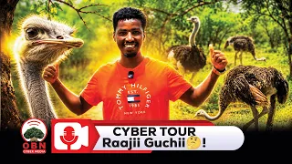 Guchiiwwan ganna lamaa gadii halluu isaaniin saala isaanii adda baasuun akka hin danda'amne beektuu?
