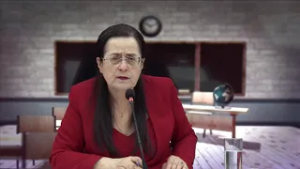 უმაღლესი განათლების რეფორმის ანალიზი. საბოლოო სპეც-ოპერაცია სტუ-ს მიმართ!