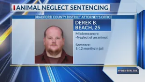Bradford County man sentenced for making dog 'lick his bodily fluid'