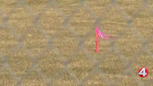 New plans for Glenview Heights development project