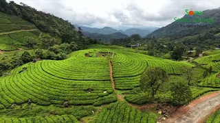 🌿 Grand Opening – Soma Seven Springs Plantation Resort, Munnar 🌿 22 August 2026.