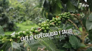 Specialty Coffee and Health: Impact and Benefits Behind Your Cup - TvAgro by Juan Gonzalo Angel