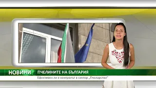 Централна емисия новини на Агро ТВ: АЧС във Варненско, промени в поземленото законодателство