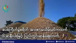 စပါးကြိတ်ခွဲစရိတ် အာဏာမသိမ်းခင်ကထက် ၆ ဆနီးပါးမြင့်၊ ပြည်တွင်းဆန်ဈေးတက် - DVB News