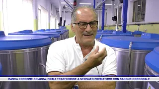 SCIACCA CORD BLOOD BANK, FIRST CORD BLOOD TRANSFUSION ON PREMATURE INFANT