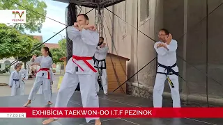 Exhibícia Taekwon-do I.T.F Pezinok