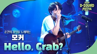 무대가 있다면 어디든, 싱어송라이터 모커 'Hello, Crab?' [2026 디사운드 페스타]