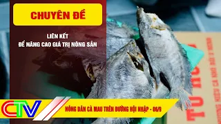 CA MAU FARMERS IN THE ERA OF INTEGRATION 09/06/2026 | LINKING UP TO INCREASE AGRICULTURAL PRODUCT...