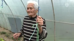 Sa 103 godine baka Jela još uvijek radi u plasteniku!