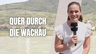 Local Experience Wachau: Danube Cruise and Wachau Railway