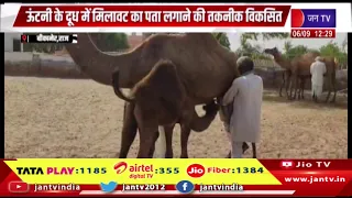 Bikaner Raj: ऊंटनी के दूध में मिलावट का पता लगाने की तकनीक विकसित| Jantv