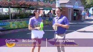 KS State Fair- Lemonade & Funnel Cake