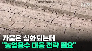 가뭄은 심화되는데..."농업용수 대응 전략 필요"/JIBS/제주/2026.08.12