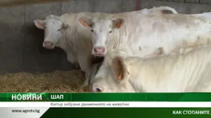 ШАП: Кипър забрани движението на животни