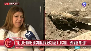 For the past month, residents on one Echesortu block have been finding dead birds
