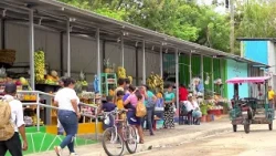 SOMOTO MARKET MODULES
