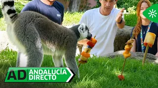 AD | Polos de insectos o de carne con sangre: así viven el verano los animales en Fuengirola