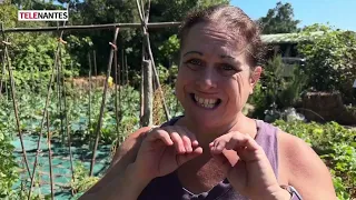 CHALEUR : DES DÉGÂTS DANS LES POTAGERS