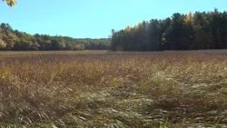 Event in Yarmouth educates about the importance of Salt Marshes