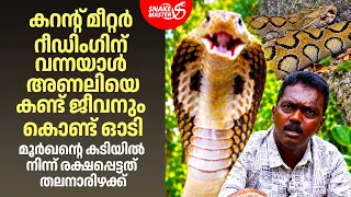 മീറ്റർ റീഡറെ ഓടിച്ച അണലി! | Viper Snake Rescue | Snakemaster EP 1222