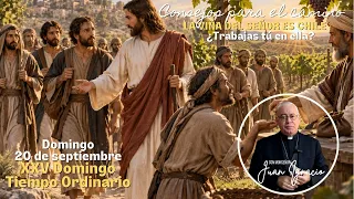 Chile is the Lord's vineyard. Do you work in it?