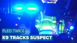Man arrested for domestic assault after K-9 search in Bridgeton