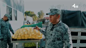 La logística de alimentos es parte de la misión. ? Guanajuatenses que dejan huella ?