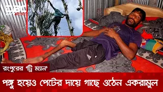 এক পায়ে লাফিয়ে ওঠেন গাছের মগডালে, রংপুরের ‘ট্রি ম্যানের’ অবিশ্বাস্য জীবনযুদ্ধ | DBC NEWS Special