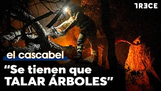 "There is abrasive legislation": Lack of fire prevention in Spain denounced