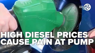 Consumers feel pain of rising diesel prices