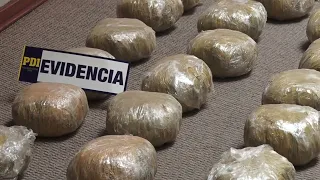 PDI seizes 600 kilos of cannabis in the Antofagasta region