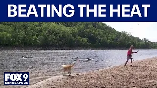 Dog owners beat the heat during stretch of sun and humidity