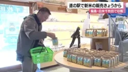 Overcoming Earthquake and Torrential Rain: Wajima's Senmaida Rice Fields Harvest About 3 Tons of ...