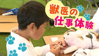獣医の採血体験や「ラリーオビディエンス」も　動物愛護週間イベントに家族連れ　金沢 (2026年9月23日)
