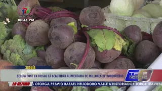 Drought puts the food security of millions of Hondurans at risk