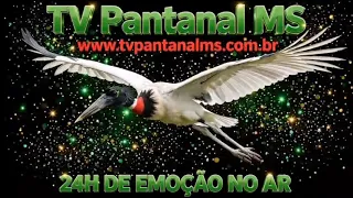 VINHETA 20 ANO 2026