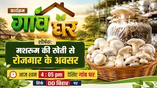 Employment Opportunities in Mushroom Farming