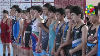 Гӯштини тарзи озод | Таҳамтан