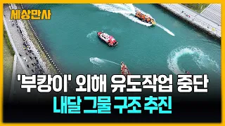 '부캉이' 먼바다 유도 작업 중단…다음 달 그물 구조 재추진 [세상만사] #부캉이 #유도작업중단 #그물구조재추진